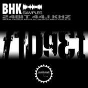 BHK Fidget Professional Samples Download