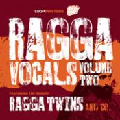Ragga Vocals Vol2 Professional Audio Loops Download