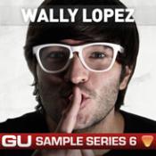 Wally Lopez House and Techno Audio Samples Download
